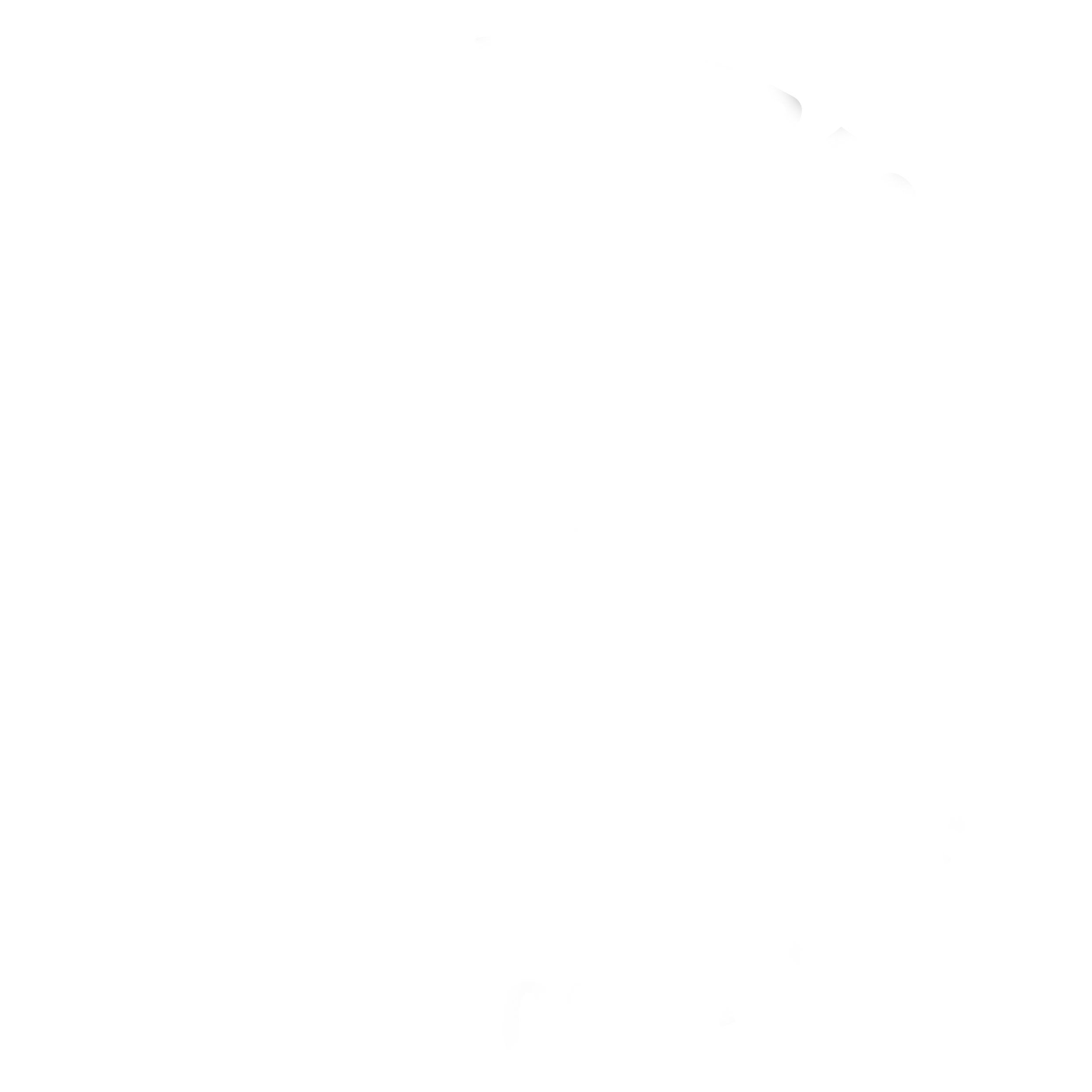 Licensed Building Practitioners Logo